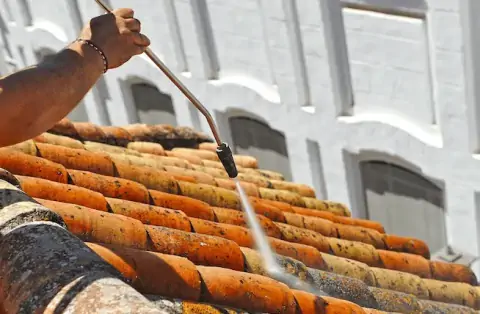 Nettoyage de toitures - Anjou